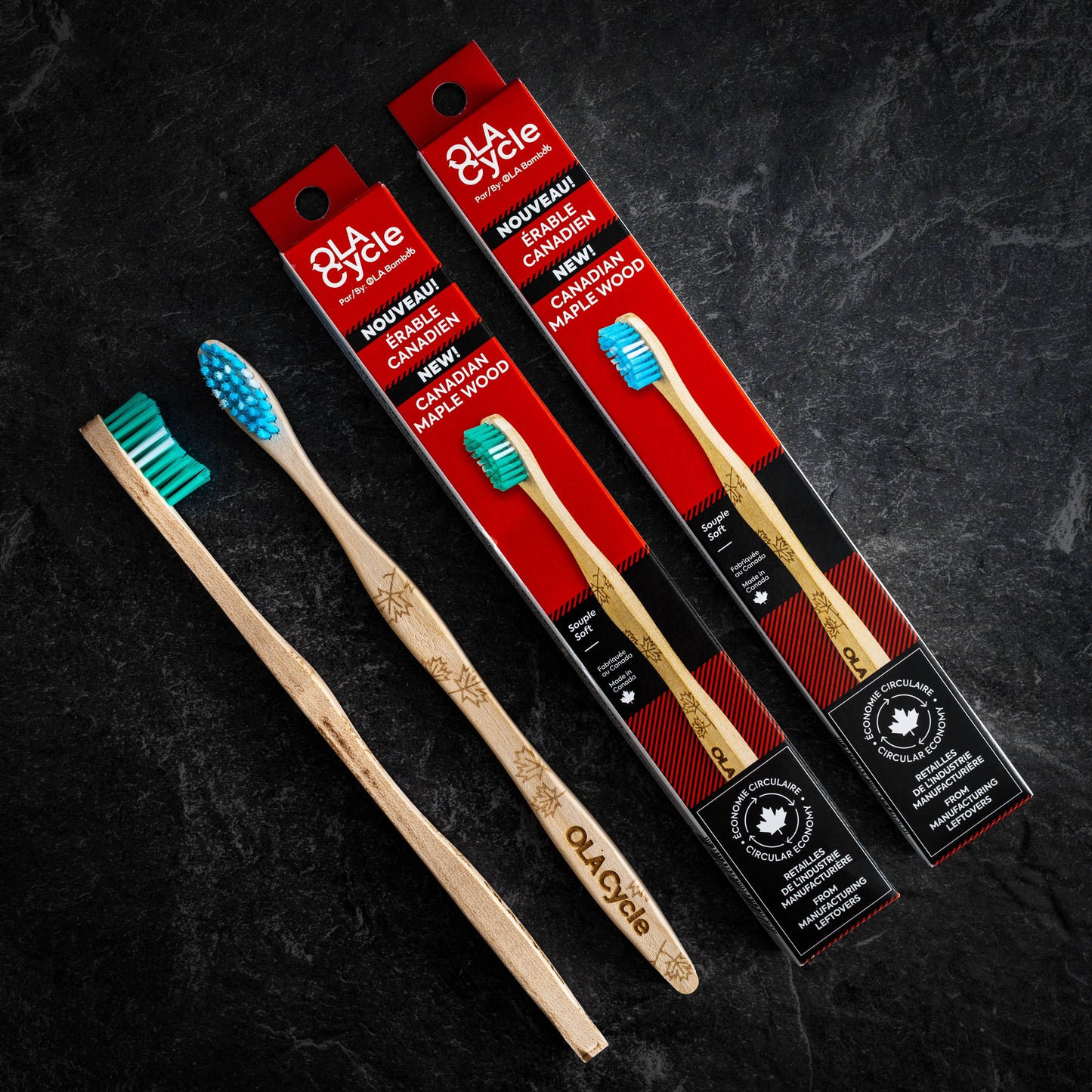Brosse à dents en bois d'érable (OLA Cycle)