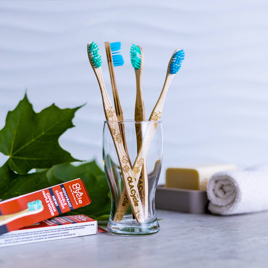 Brosse à dents en bois d'érable (OLA Cycle)