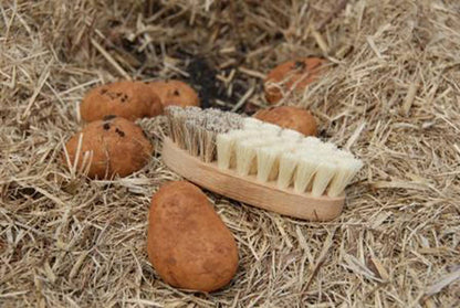 Vegetable brush