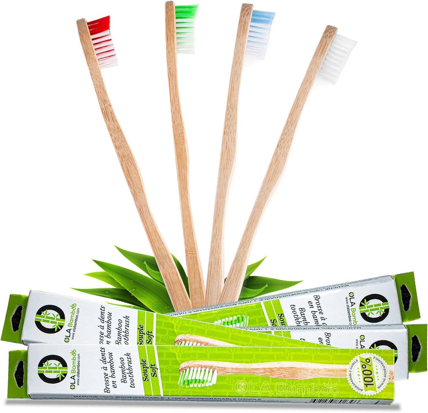 Brosse à dents en bambou (OLA Bamboo)