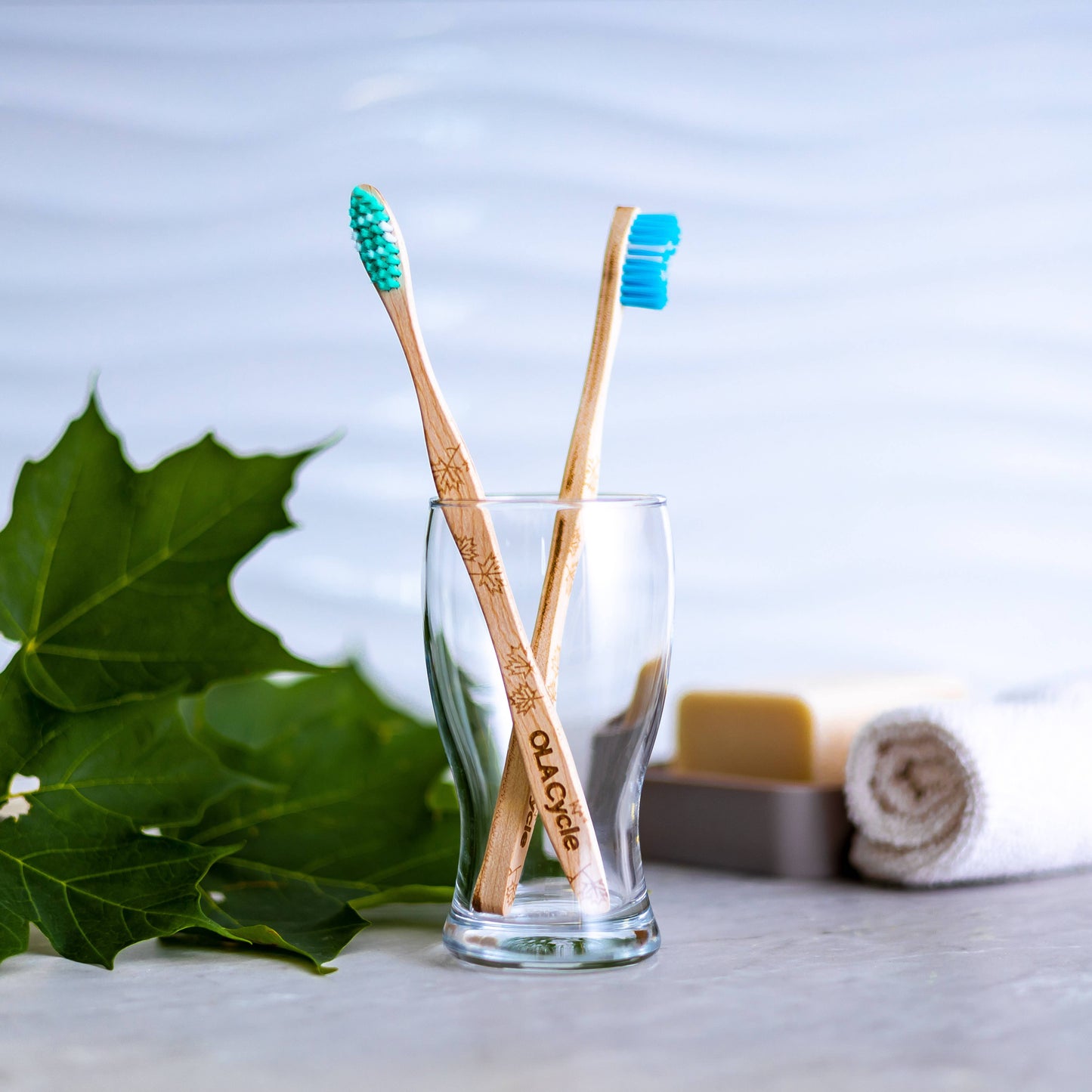 Maple wood toothbrush (OLA Cycle)